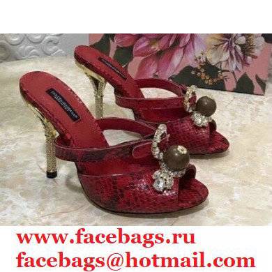 Dolce & Gabbana Crystal Heel 10.5cm Python Mules Red 2021
